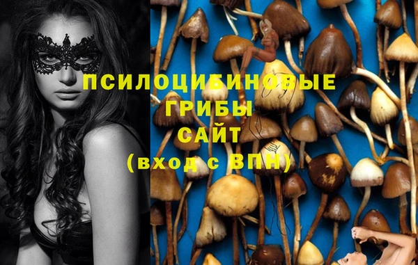 хмурый Покров