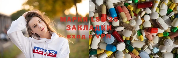 крисы Аркадак