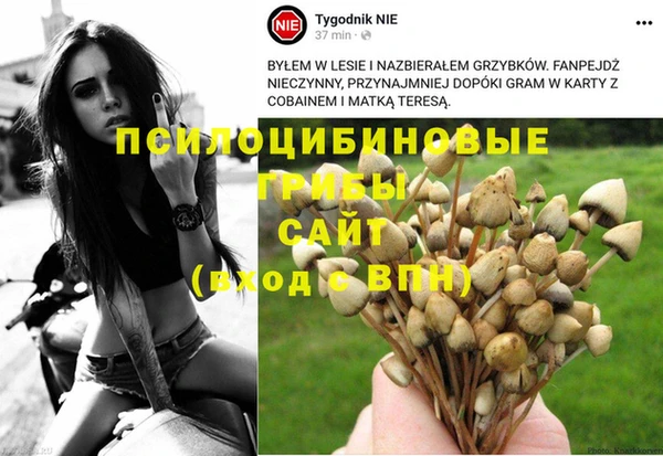 крисы Аркадак