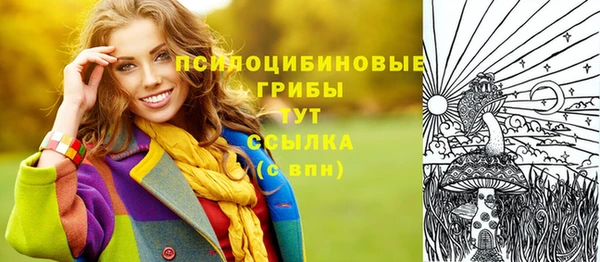 крисы Аркадак