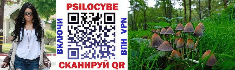 продажа наркотиков  Сортавала  Псилоцибиновые грибы мухоморы 